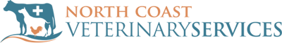 logo v