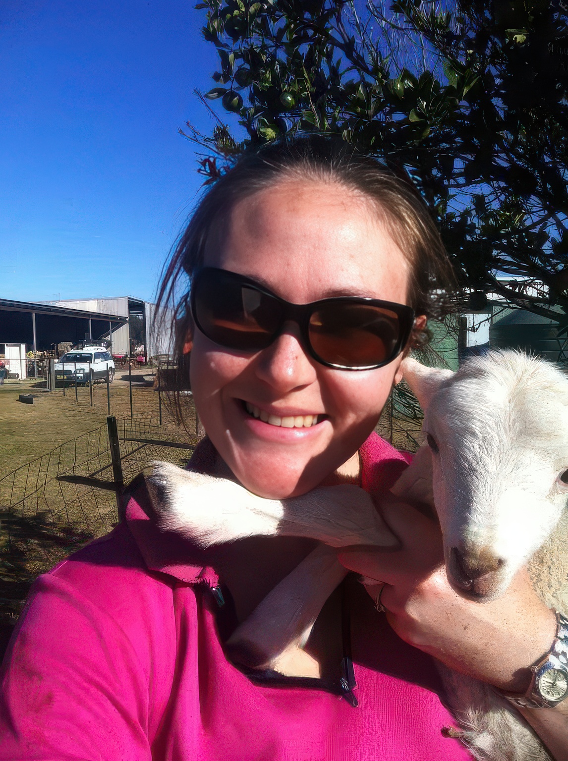 holding lamb upscaled